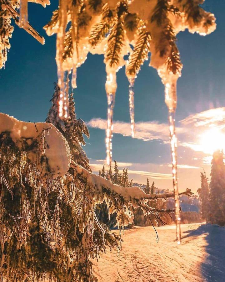 Sans Lux Apartman N42 Milmari Kopaonik Dış mekan fotoğraf