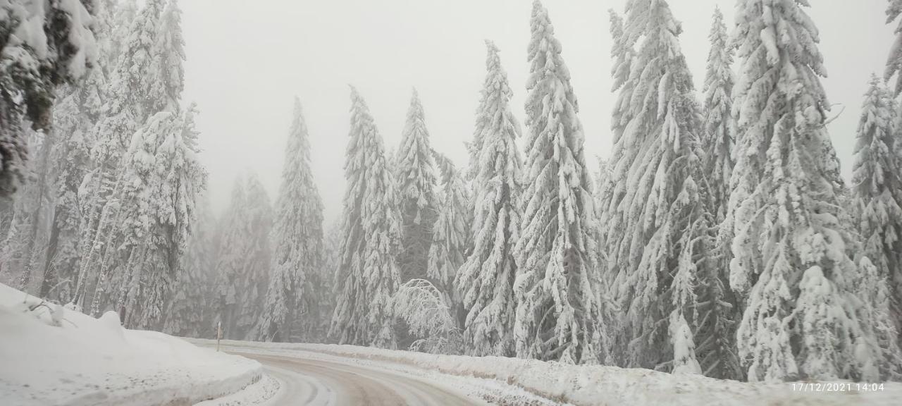 Sans Lux Apartman N42 Milmari Kopaonik Dış mekan fotoğraf