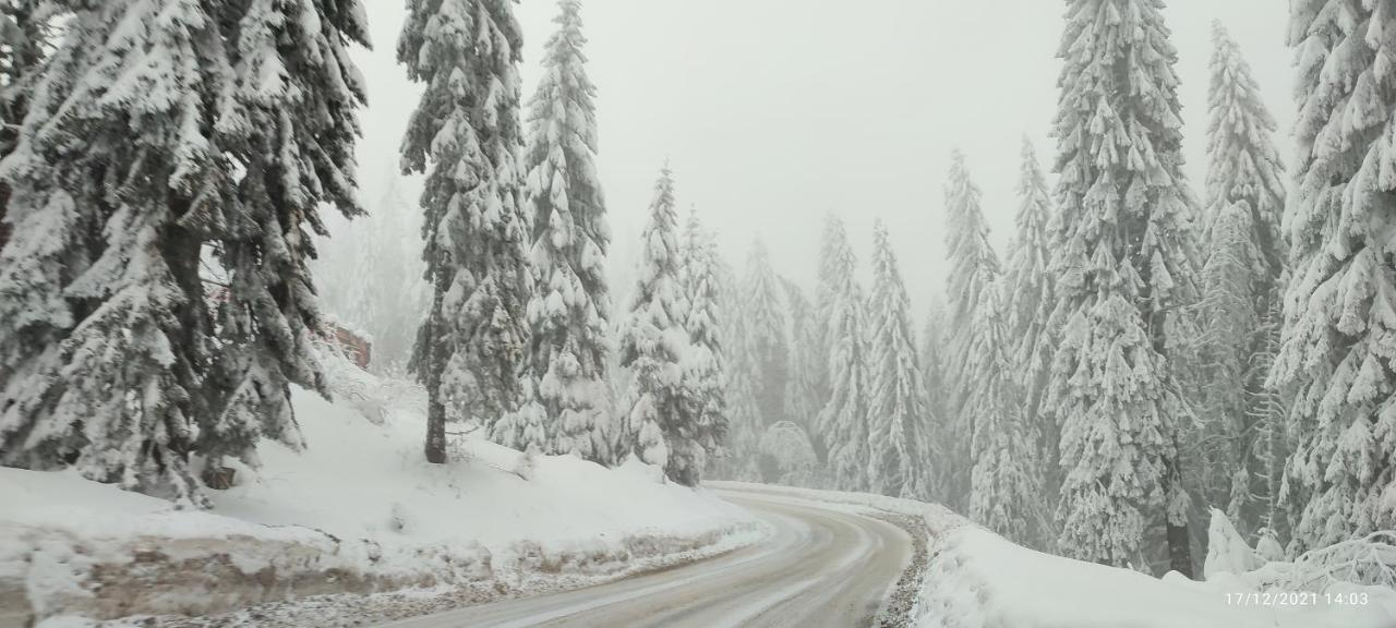 Sans Lux Apartman N42 Milmari Kopaonik Dış mekan fotoğraf